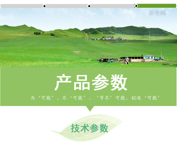 (綠)300kg燃油燃氣蒸汽發生器詳情頁(綠鼎能源)2017