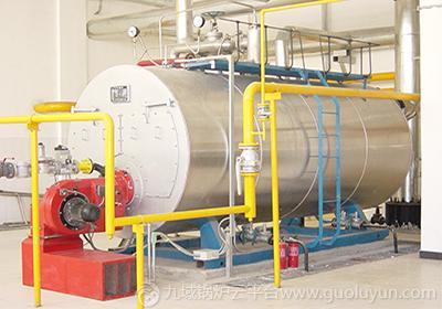 食品廠專用20噸燃?xì)庹羝仩t的型號(hào)