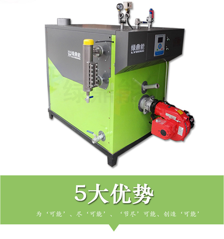 (綠)300kg燃油燃氣蒸汽發(fā)生器詳情頁(綠鼎能源)2017