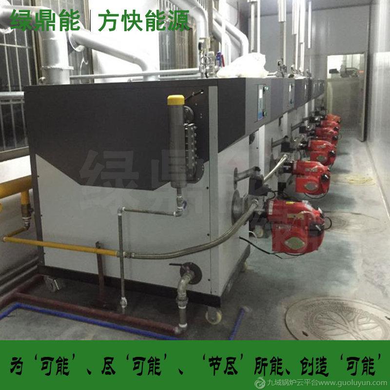 混凝土養護 大棚加溫 燃氣蒸汽鍋爐0.2-0.5T全自動蒸汽發生器