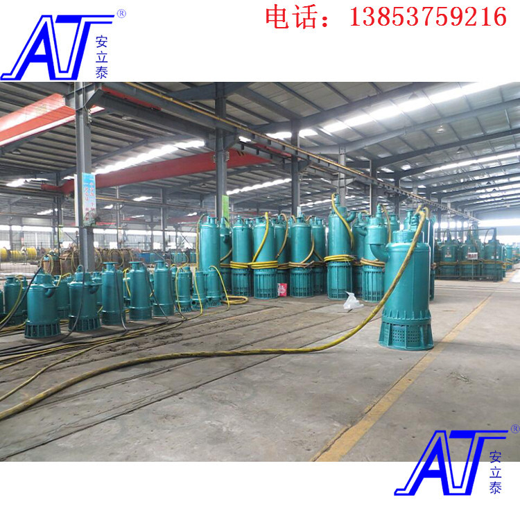 安泰泵業特殊泵體設計防爆潛污泵WQB20-30-4