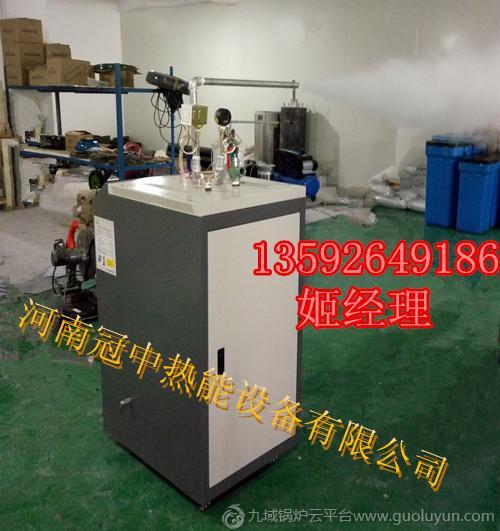 小型電蒸汽鍋爐電蒸汽發生器廠家