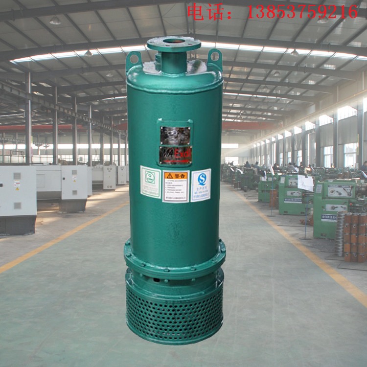 安泰泵業出水口在下面的防爆潛水泵WQB25-10-2.2