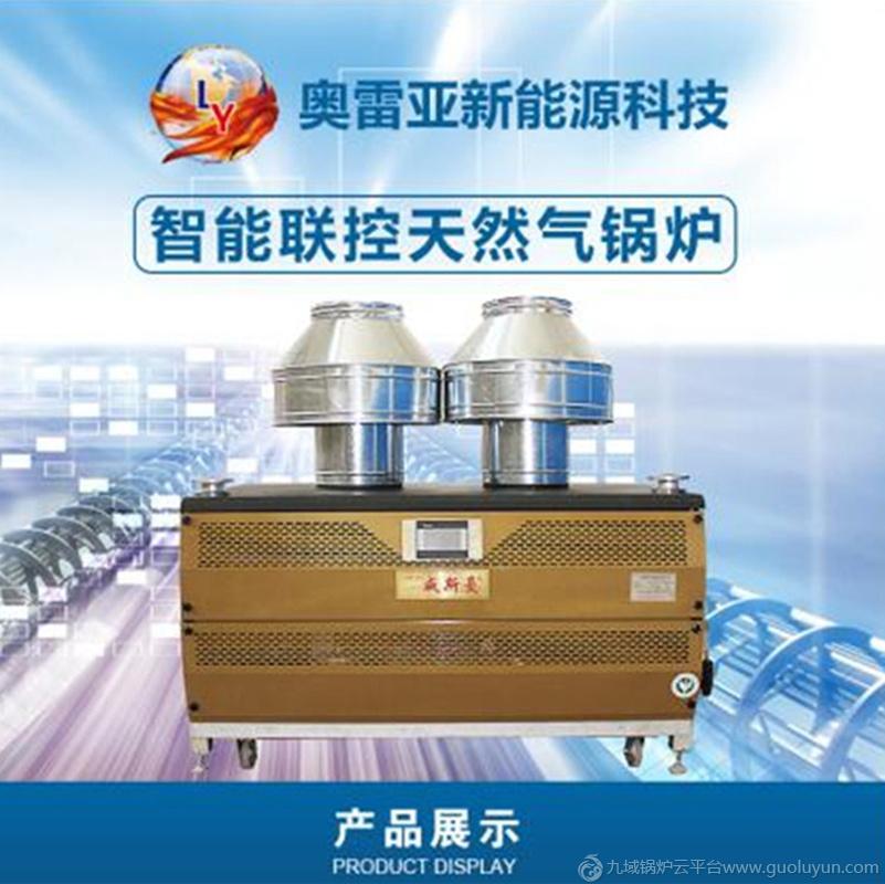 0.5噸燃氣熱水鍋爐 燃氣取暖鍋爐 節能環保 可定制