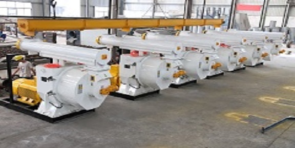 全套設備顆粒機時產2噸報價單