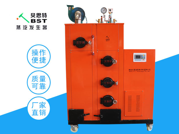 湖北貝思特200公斤款生物質蒸汽發生器廠家直銷服裝洗滌業，生物化工業節能環保產品