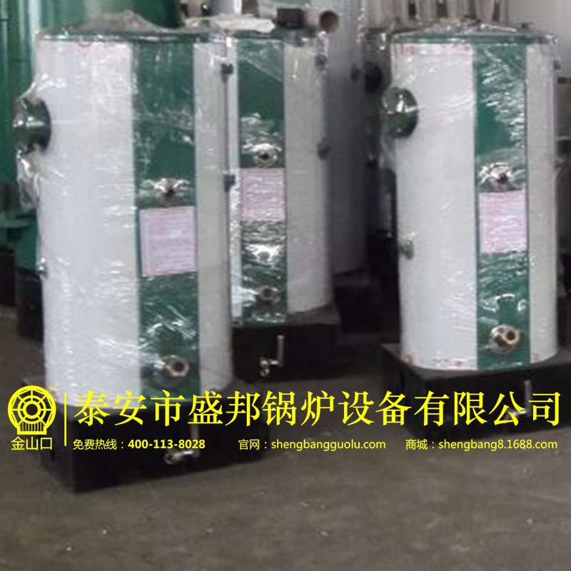 2018款家用立式洗浴蒸汽節能蒸煮養殖加溫采暖天然氣液化氣沼氣鍋爐