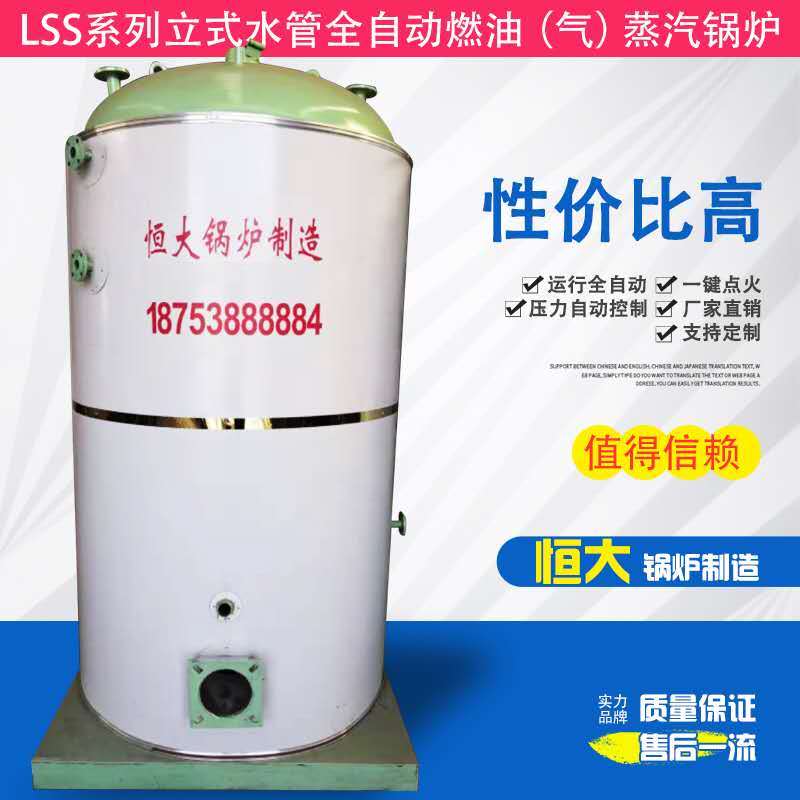 山東泰安恒大LSS型立式燃氣蒸汽鍋爐系列