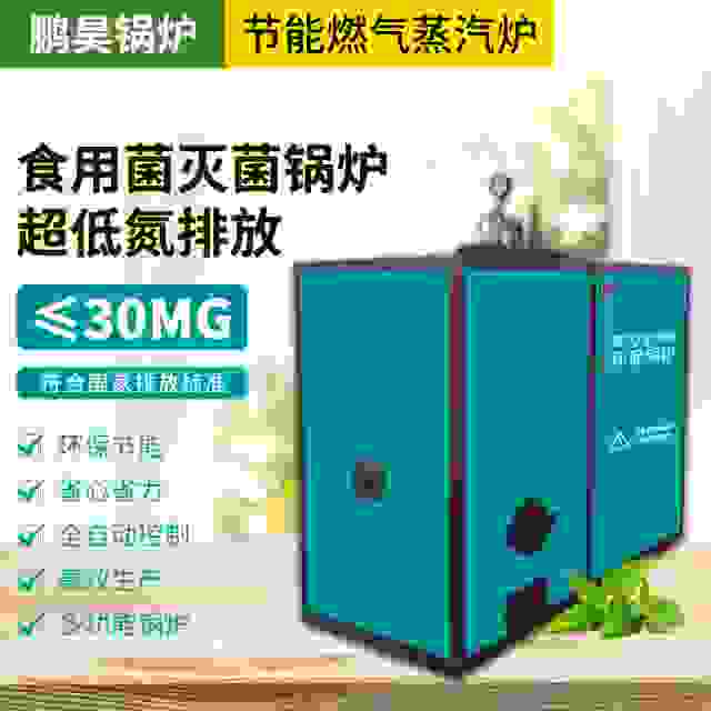 鵬昊環保蒸汽食用菌滅菌鍋爐常壓蒸汽需求的行業
