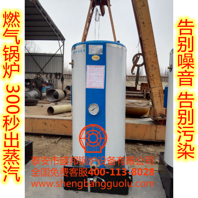 2018新款天然氣液化氣商用采暖養殖熱水蒸汽采暖立式燃氣鍋爐