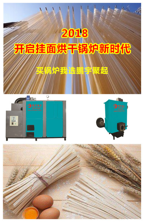 山東鵬宇聚起掛面烘干、食品烘干環保鍋爐