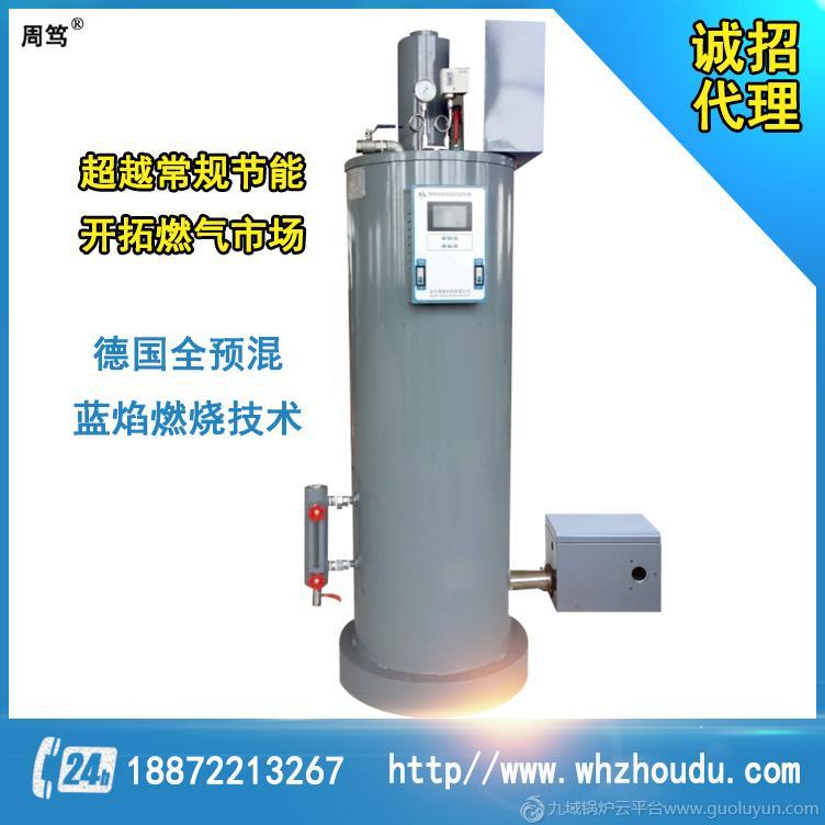 276kg/h--483kg/h免監檢全自動燃氣蒸汽發生器