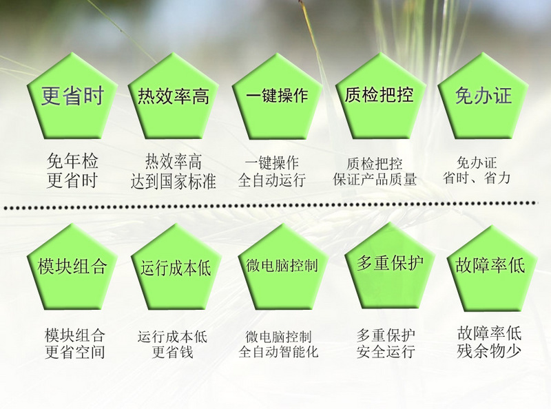 燃?xì)庹羝l(fā)生器系列詳情頁05(2)