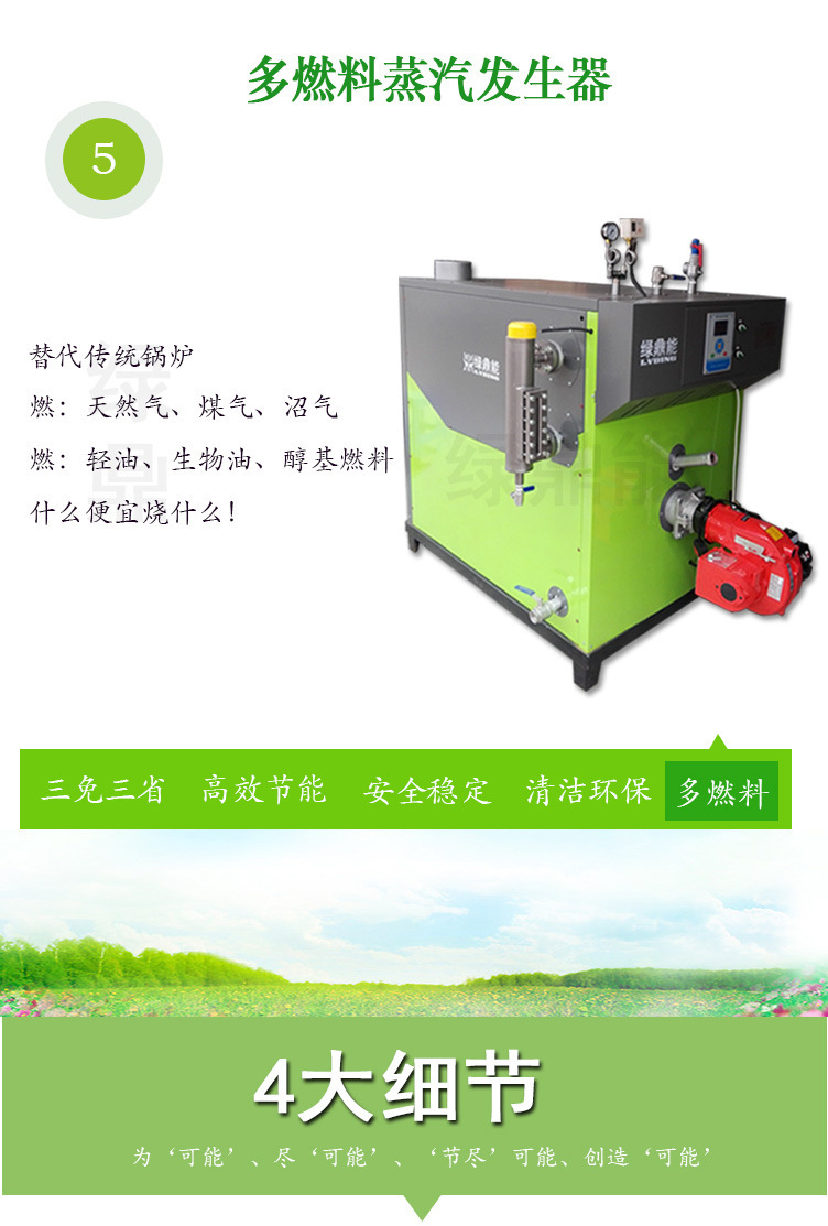 (綠)300kg燃油燃氣蒸汽發生器詳情頁(綠鼎能源)2017