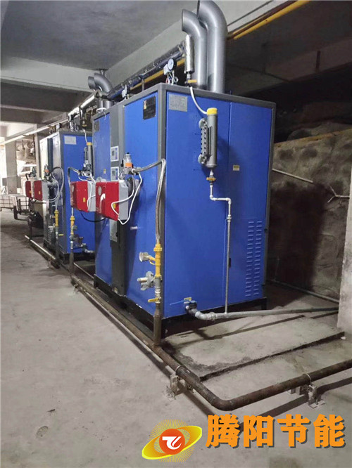 騰陽蒸汽發生器的種類