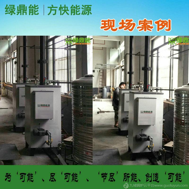 50-100kg/h綠鼎能燃氣蒸汽發生器 雙燃料高效節能燃氣蒸汽鍋爐